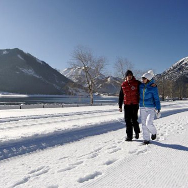 Winterwandelen